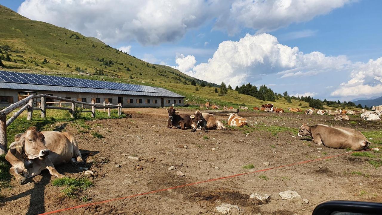 Marmot Apartment Dimaro Luaran gambar